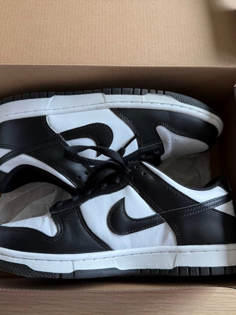 Nike Dunk Low Sneakers